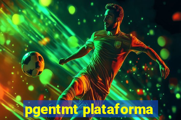 pgentmt plataforma